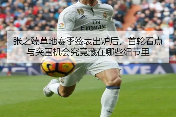 张之臻草地赛季签表出炉后，首轮看点与突围机会究竟藏在哪些细节里