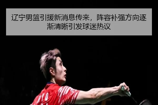 辽宁男篮引援新消息传来，阵容补强方向逐渐清晰引发球迷热议